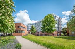 PULSWERK_DANIELGIMMER_CP8A6982