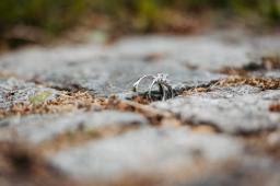 DANIEL-GIMMER-PHOTOGRAPHY_JULIA-NIKLAS_3008