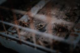 DANIEL-GIMMER-PHOTOGRAPHY_LENIMARCO_1606
