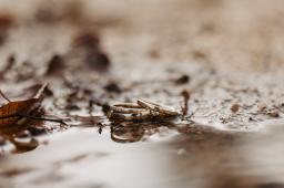 DANIEL-GIMMER-PHOTOGRAPHY_LEONIE-PATRICK_2012