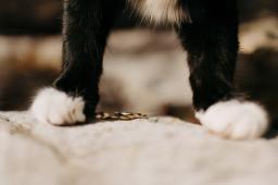 DANIEL-GIMMER-PHOTOGRAPHY_LEONIE-PATRICK_2028-Bearbeitet