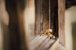 DANIEL-GIMMER-PHOTOGRAPHY_LISAMORITZ_0149
