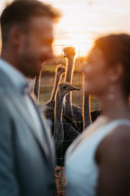 DANIEL-GIMMER-PHOTOGRAPHY_LUISA-MARVIN_1735