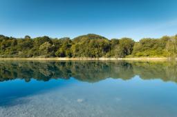 DANIEL-GIMMER-PHOTOGRAPHY_LOEWENBLICKE_0108