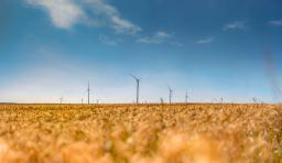 DANIEL-GIMMER-PHOTOGRAPHY_LOEWENBLICKE_0971