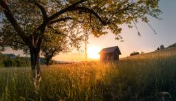 DANIEL-GIMMER-PHOTOGRAPHY_LOEWENBLICKE_1267