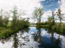 DANIEL-GIMMER-PHOTOGRAPHY_MAYERS-WELZHEIM_0009