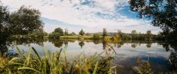 DANIEL-GIMMER-PHOTOGRAPHY_MAYERS-WELZHEIM_0024
