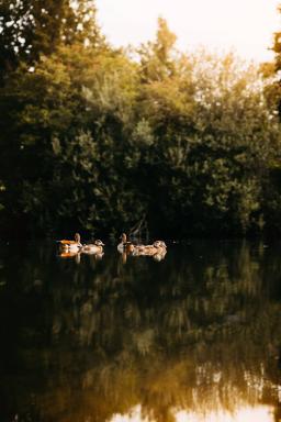 DANIEL-GIMMER-PHOTOGRAPHY_MAYERS-WELZHEIM_0032