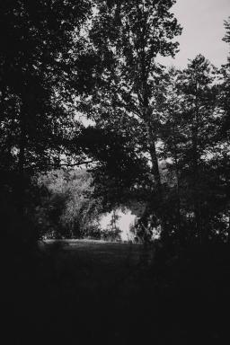 DANIEL-GIMMER-PHOTOGRAPHY_MAYERS-WELZHEIM_0044