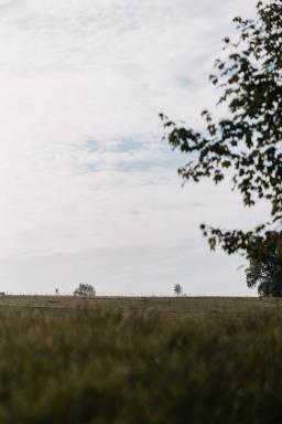 DANIEL-GIMMER-PHOTOGRAPHY_MAYERS-WELZHEIM_0046