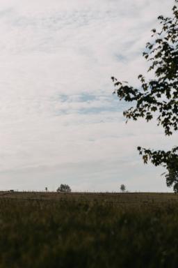 DANIEL-GIMMER-PHOTOGRAPHY_MAYERS-WELZHEIM_0047