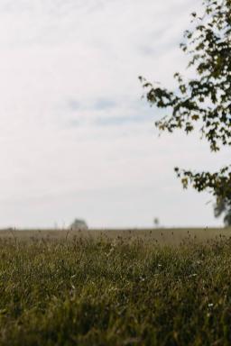 DANIEL-GIMMER-PHOTOGRAPHY_MAYERS-WELZHEIM_0048