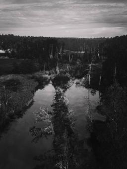 DANIEL-GIMMER-PHOTOGRAPHY_MAYERS-WELZHEIM_0053