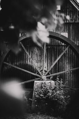 DANIEL-GIMMER-PHOTOGRAPHY_MAYERS-WELZHEIM_0058