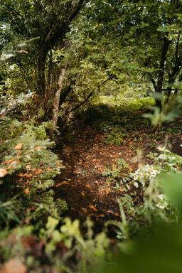 DANIEL-GIMMER-PHOTOGRAPHY_MAYERS-WELZHEIM_0081