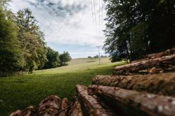 DANIEL-GIMMER-PHOTOGRAPHY_MAYERS-WELZHEIM_0084