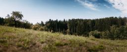DANIEL-GIMMER-PHOTOGRAPHY_MAYERS-WELZHEIM_0093