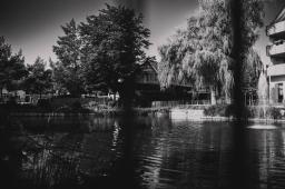 DANIEL-GIMMER-PHOTOGRAPHY_MAYERS-WELZHEIM_0128