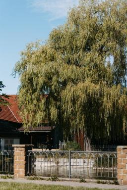 DANIEL-GIMMER-PHOTOGRAPHY_MAYERS-WELZHEIM_0159
