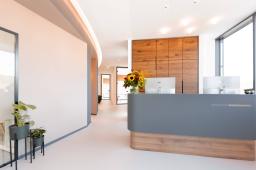 PULSWERK_DANIEL-GIMMER_ZAHNGESUNDHEIT_0356